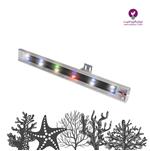  واشر آکواریوم آب شور