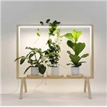 استند مجهز به لامپ رشد گیاه