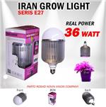 لامپ سرپیچ دار 36