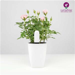 خرید سنسور هوشمند گل و گیاه