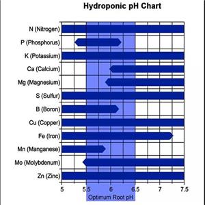 تنظیم ph