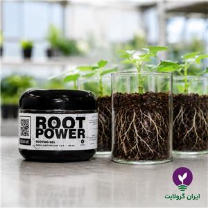 ژل قلمه زنی روت پاور