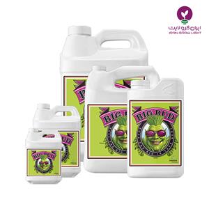 خرید کود بیگ باد ادونس - Advanced nutrients big bud