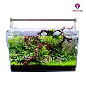 price-lamp-aquarium-plant