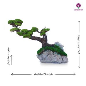 درختچه تقلیدی بونسای افتاده 