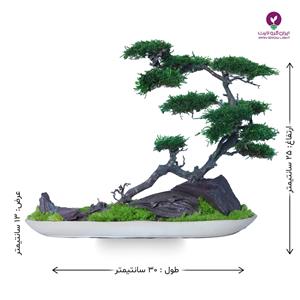 درخت بونسای افتاده