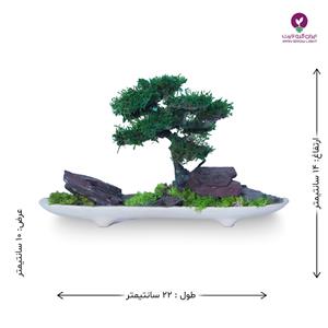 بونسای نهال منظره مینیاتوری