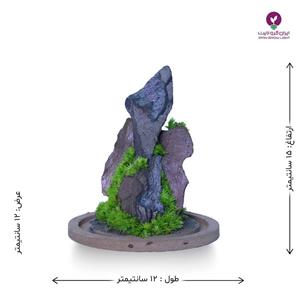 تداریوم صخره جنگلی