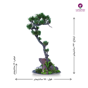 بونسای تک درخت ریشه در سنگ