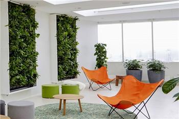 green-wall
