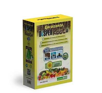 کود دیسپر روت