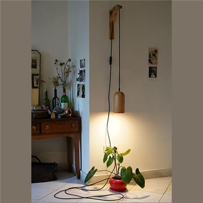 آویز نور رشد گیاه 7 وات