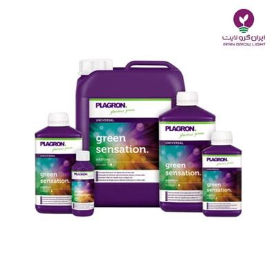 کود گرین سنسیشن پلاگرون