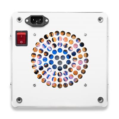 مولتی چیپ مخصوص رشد گیاه  توان 100 وات ~ 300wl