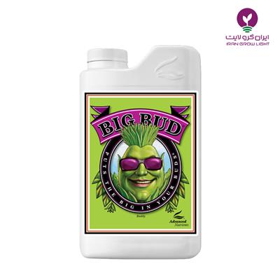 کود بیگ باد ادونس