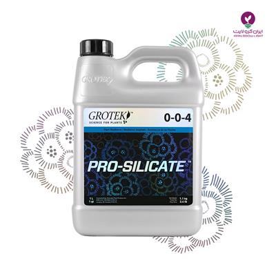 كود پرو سیلیکات  گروتك