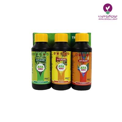 کود تریانگل پک آتامی