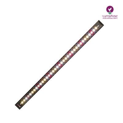 دکو لایت تو کار رشد گیاه 