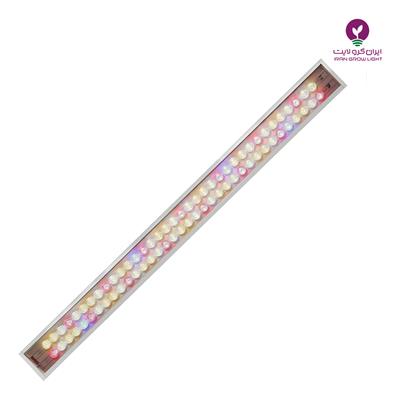 لایت لاین تو کار رشد گیاه 