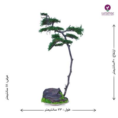 بونسای بانجین