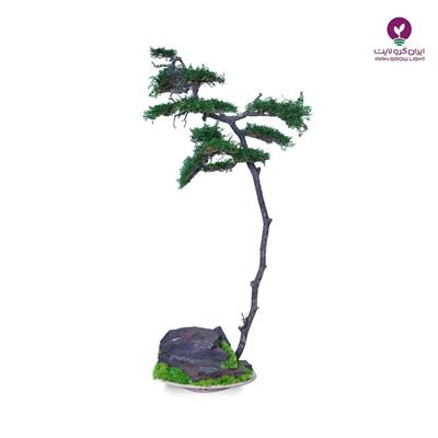 بونسای بانجین