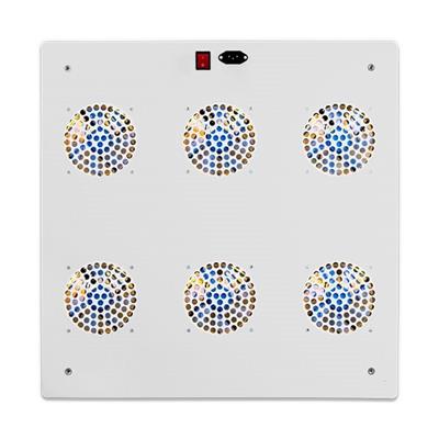 مولتی چیپ مخصوص رشد گیاه توان 900 وات ~ 2700wl