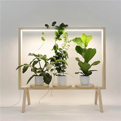 استند مجهز به نور رشد گیاه