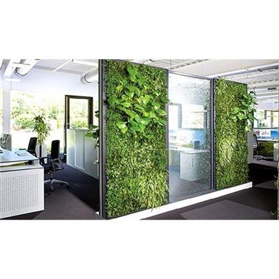 دیوار سبز و نور رشد گیاه