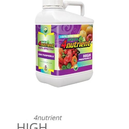 کود فسفر بالا