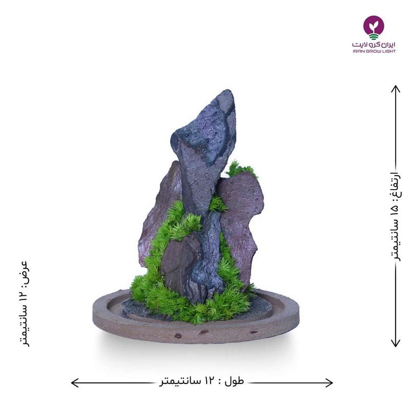 تداریوم صخره جنگلی