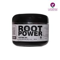 ژل قلمه زنی - Root Power