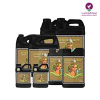 کود سنسی کوکو گرو ادونس