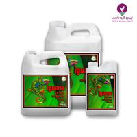 کود ایگوانا جویس بلوم ادونس