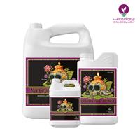 کود وودو جویس ادونس