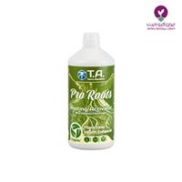 کود پرو روت ترا آکواتیکا