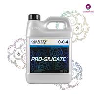 كود پرو سیلیکات  گروتك