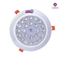 پروژکتور رشدگیاه سقفی توکار - 24 وات IP